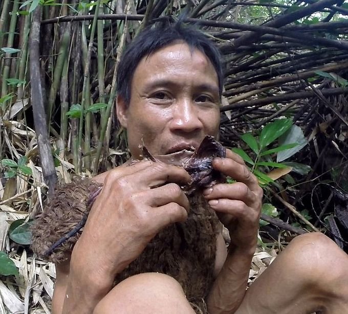 Двое жителей Вьетнама более 40 лет прятались в лесу от американских бомбежек