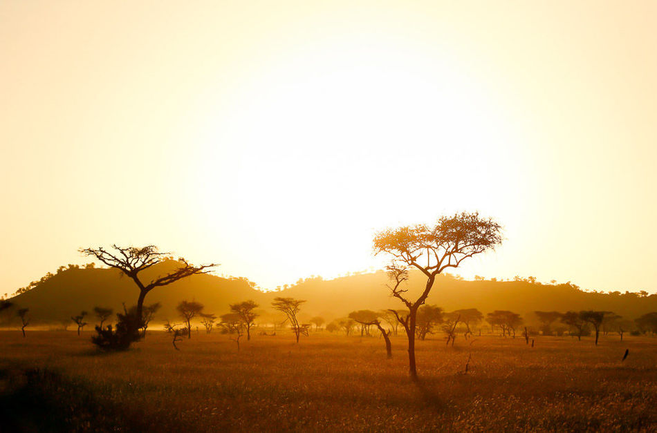 10 снимков красивой и далекой Африки