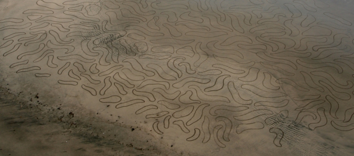 Такие красивые, но недолговечные узоры на песке