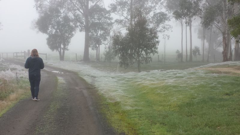 Зимой в Австралии белым-бело, но не от снега