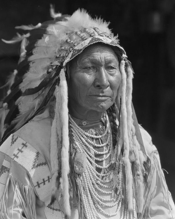 Портреты первых поселенцев Западной Канады, 1910 год