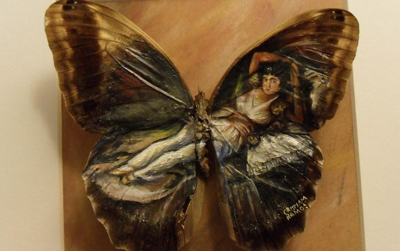 Удивительные картины на крыльях бабочек