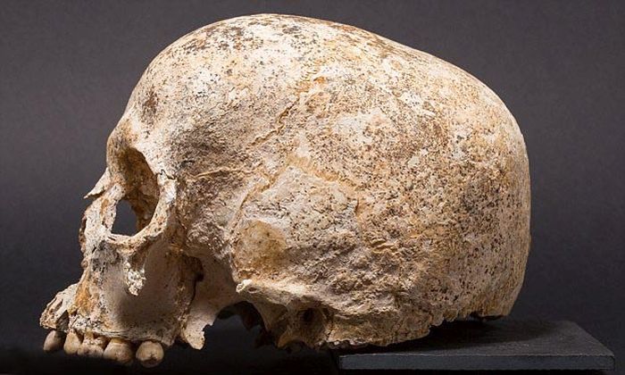 Ученные создали модель головы девушки, умершей 3700 лет назад
