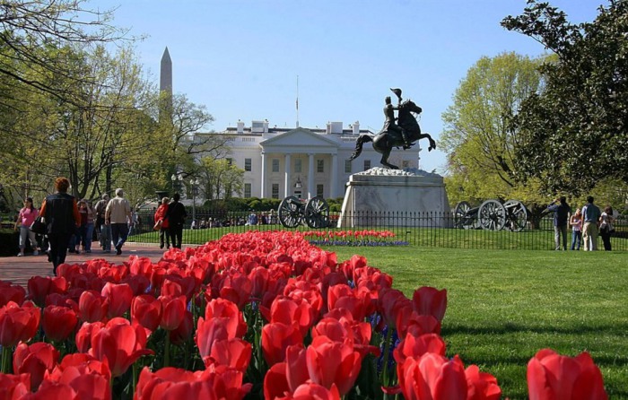 15 фотографий удивительных и живописных мест в Вашингтоне, которые стоит посетить