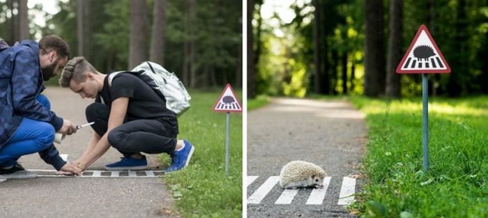 Сооружения, которые облегчают жизнь животных в современном мире