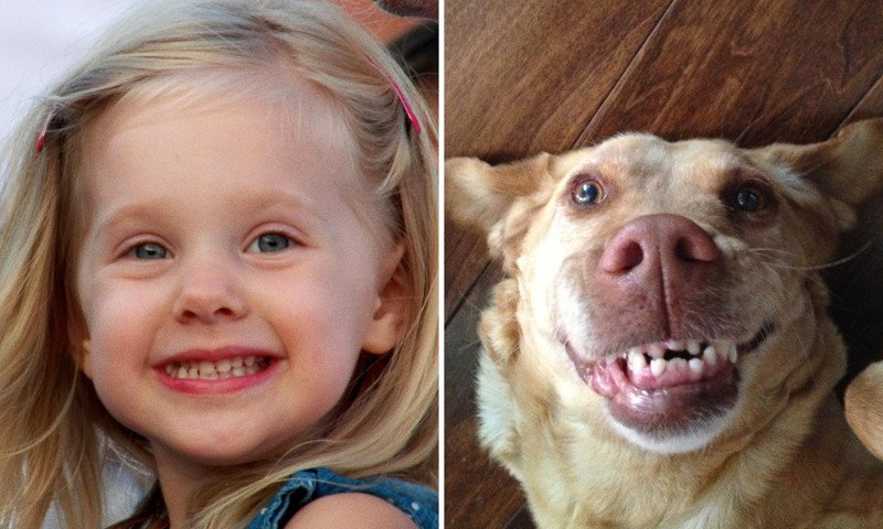 15 фотографий, на которых дети и животные одинаково выражают эмоции