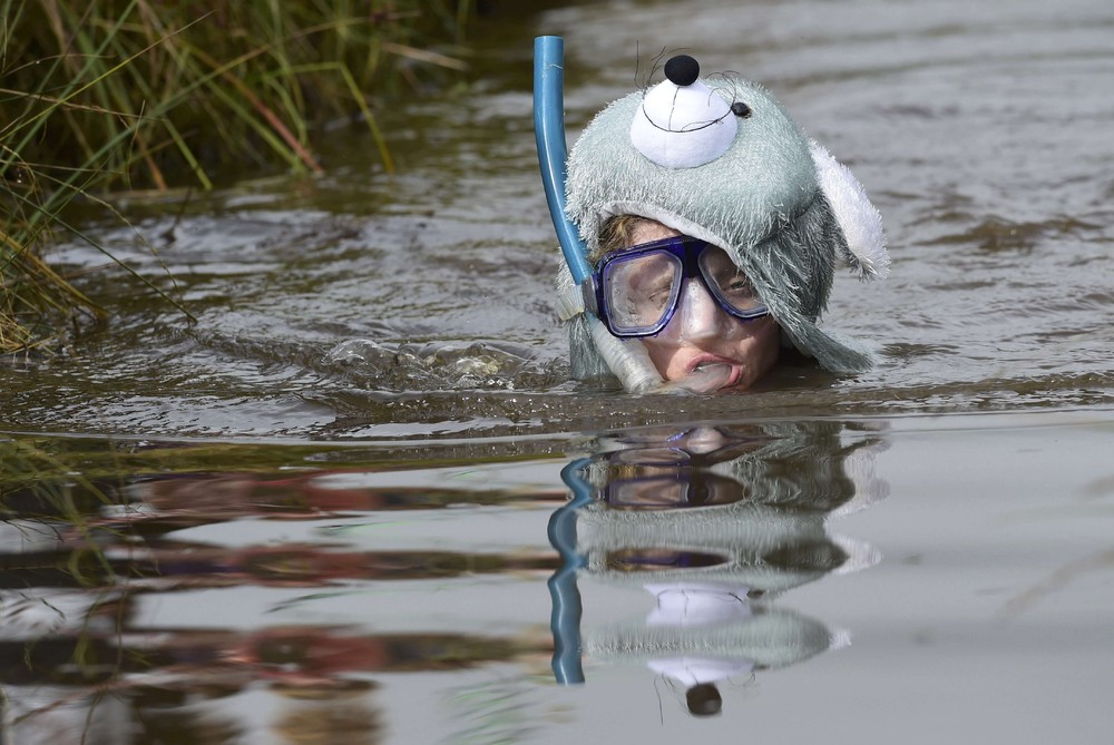 Всемирный чемпионат по плаванию в болоте 2016