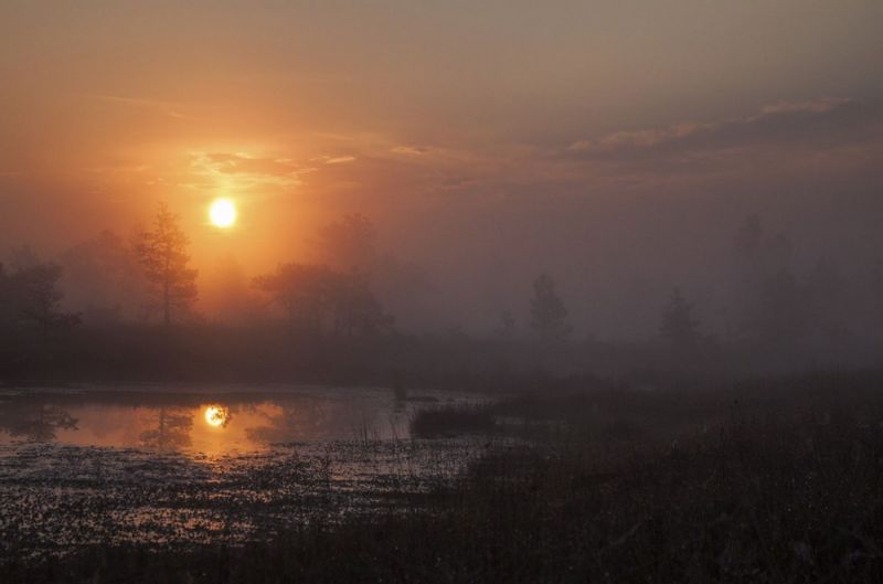 Кемерский национальный парк в Латвии