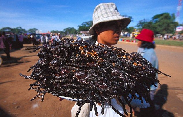 Как камбоджийцы справляются с нашествием тарантулов