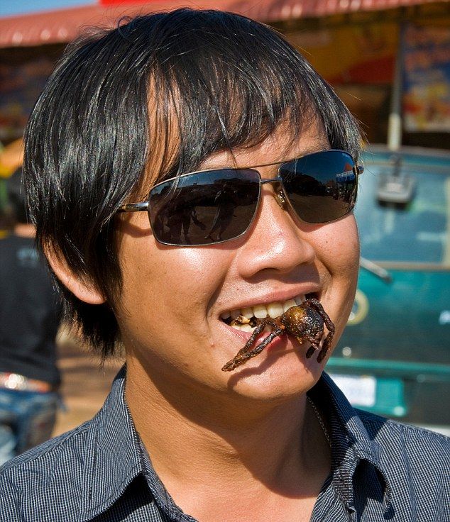 Как камбоджийцы справляются с нашествием тарантулов