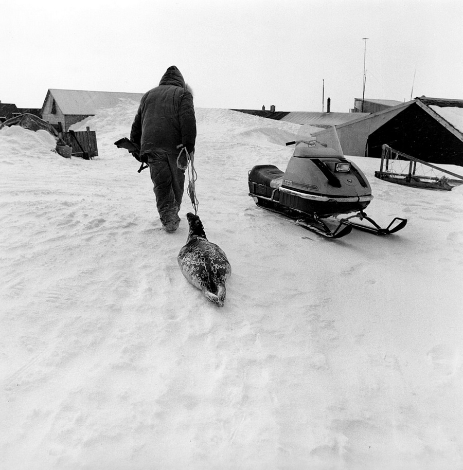 Жизнь в эскимосских деревнях Аляски, фотограф Алекс Харрис