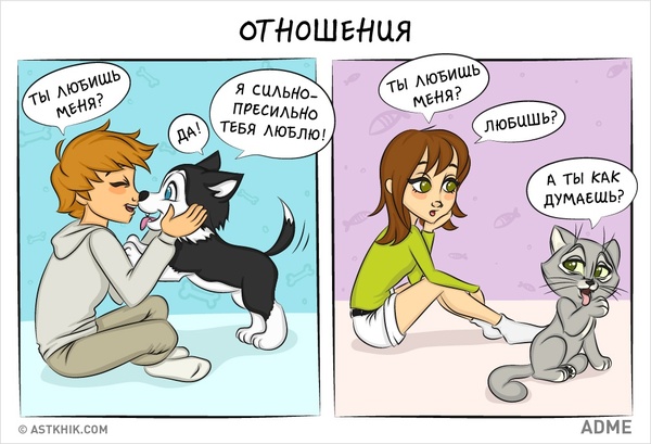 Кошка или собака в комиксах
