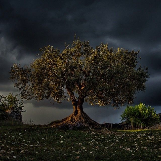 Красивые фотографии от журнала National Geographic в Instagram
