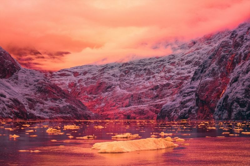 Инфракрасные фотографии природы от Брэдли Манковица