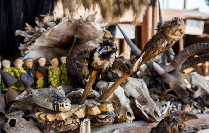 Рынок для колдунов вуду в Африке