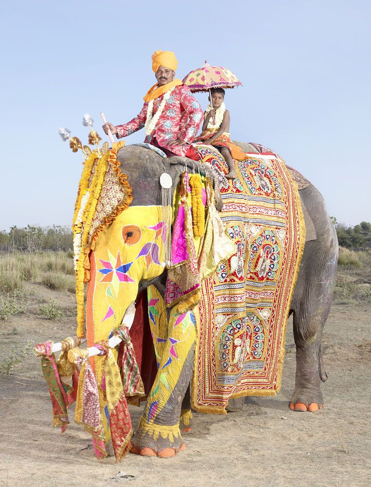 Слоновий боди-арт в Индии