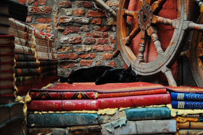 Книги в гондолах: оригинальная книжная лавка в Венеции