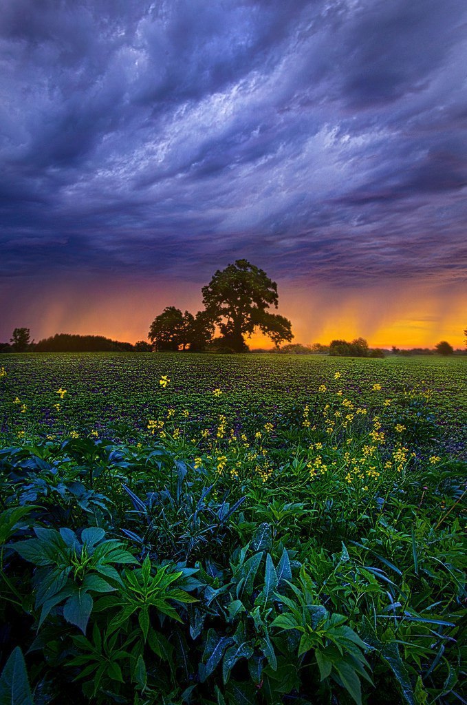 Великолепные пейзажи на закате, фотограф Phil Koch 