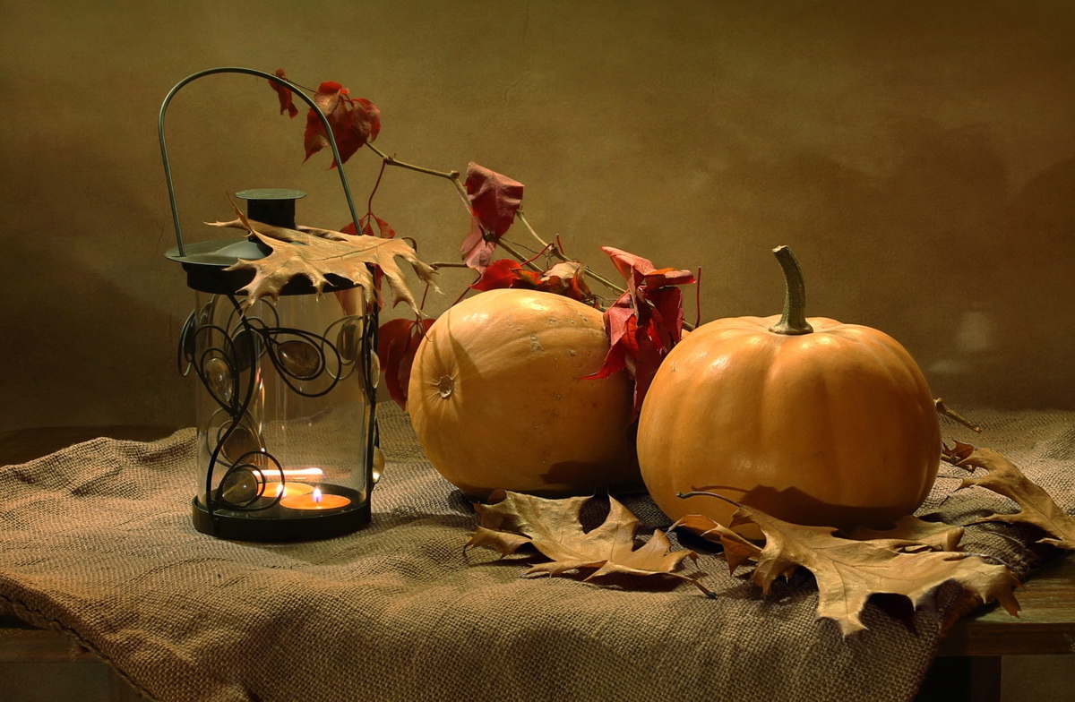 История появления и традиции празднования Хэллоуина