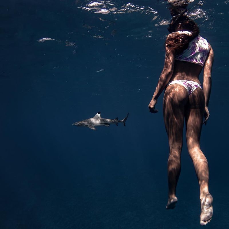 Очаровательная Рава Рэй плавает нагишом с акулами и скатами