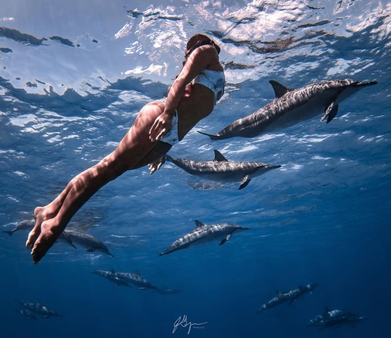 Очаровательная Рава Рэй плавает нагишом с акулами и скатами
