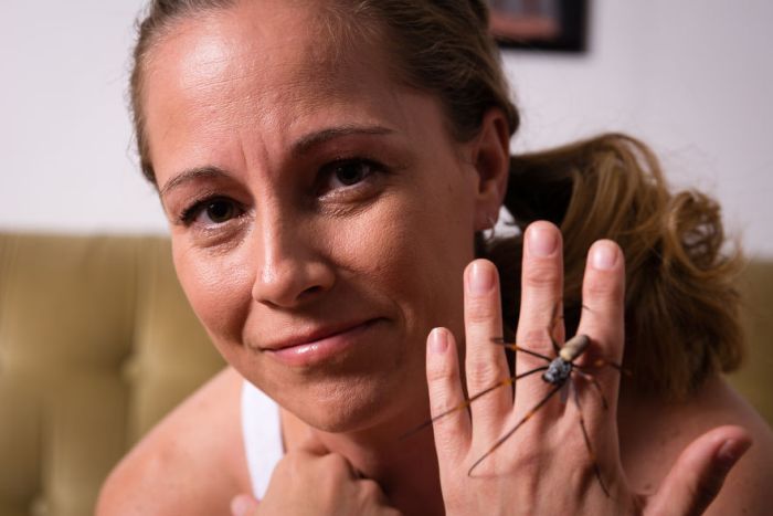 Энтомолог из Австралии считает ядовитых пауков лучшими домашними животными