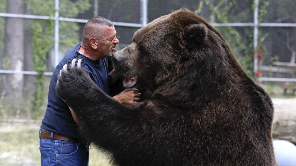 Многолетняя дружба мужика и гигантского медведя