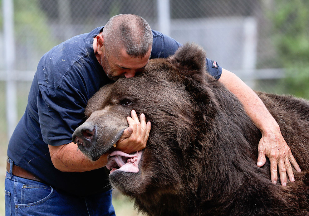 Многолетняя дружба мужика и гигантского медведя.