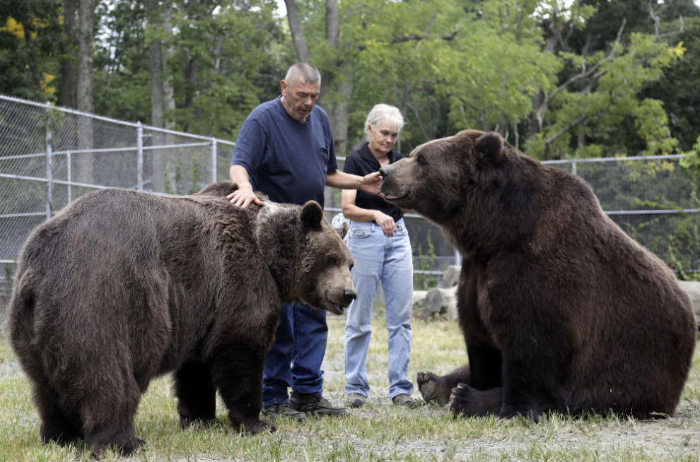 Многолетняя дружба мужика и гигантского медведя