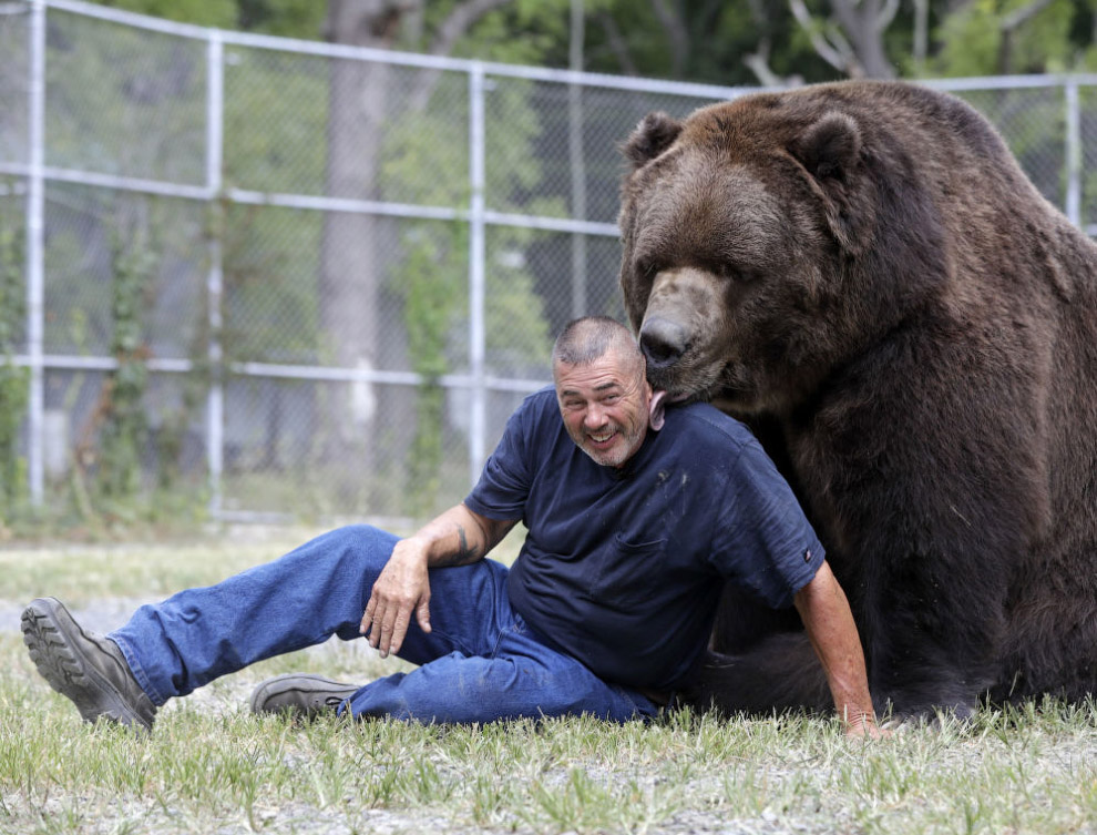 Многолетняя дружба мужика и гигантского медведя.