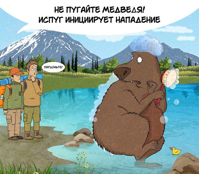Правила поведения на медвежьей территории в комиксах