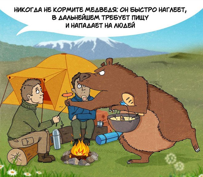 Правила поведения на медвежьей территории в комиксах