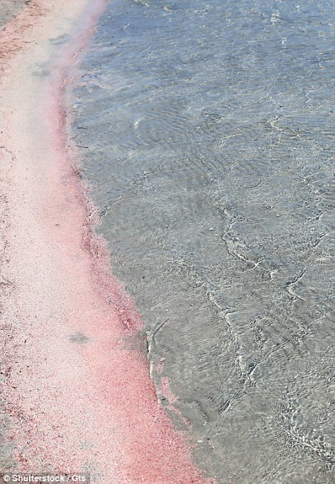 Таинственные пляжи с розовым песком