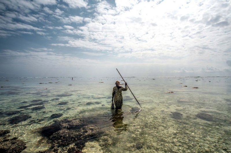 Охотники за осьминогами с побережья Занзибара