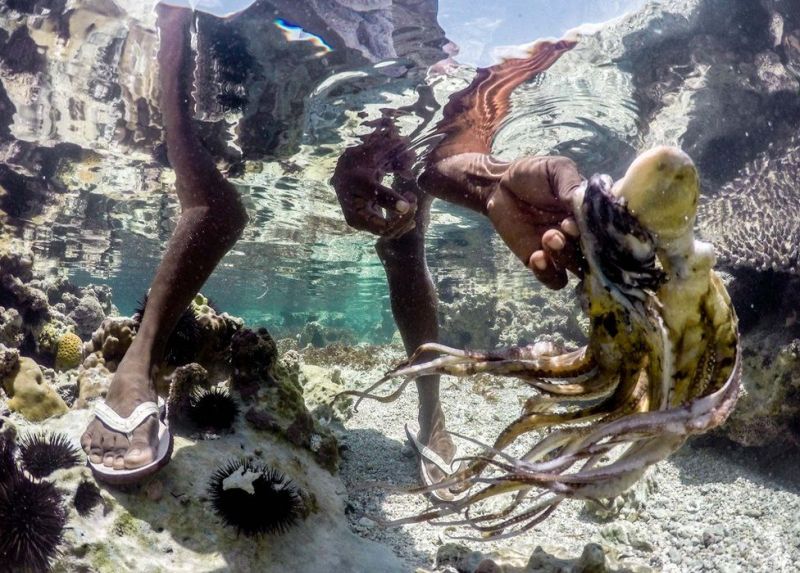 Охотники за осьминогами с побережья Занзибара