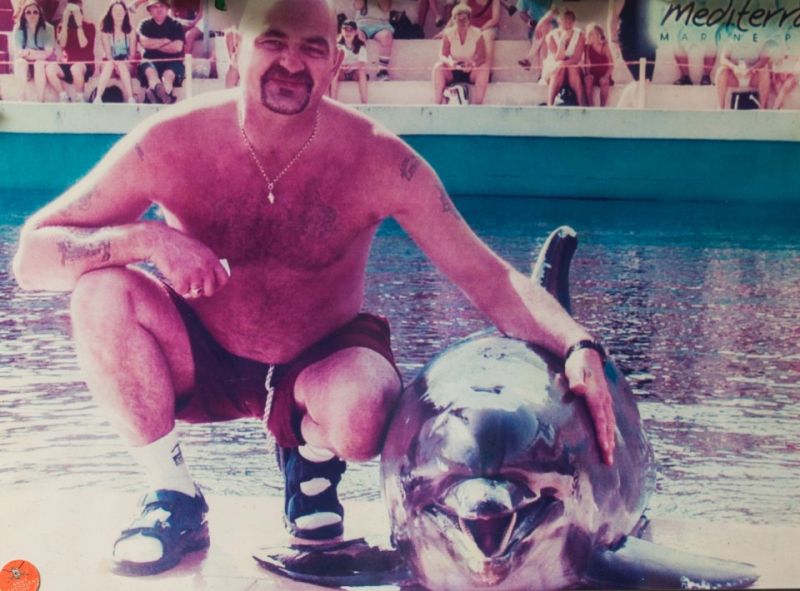 58-летний бывший военный собирает дельфинчиков
