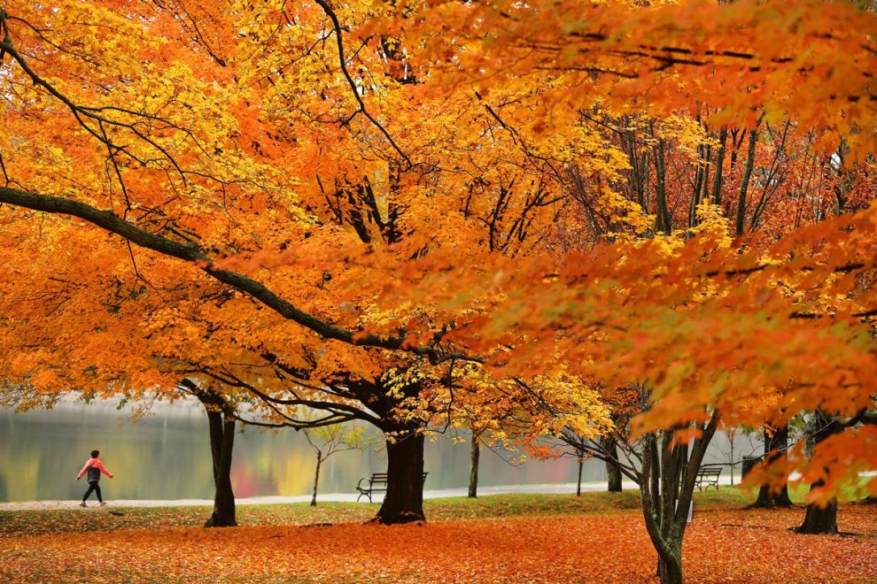 Осеннее великолепие в ярких красках