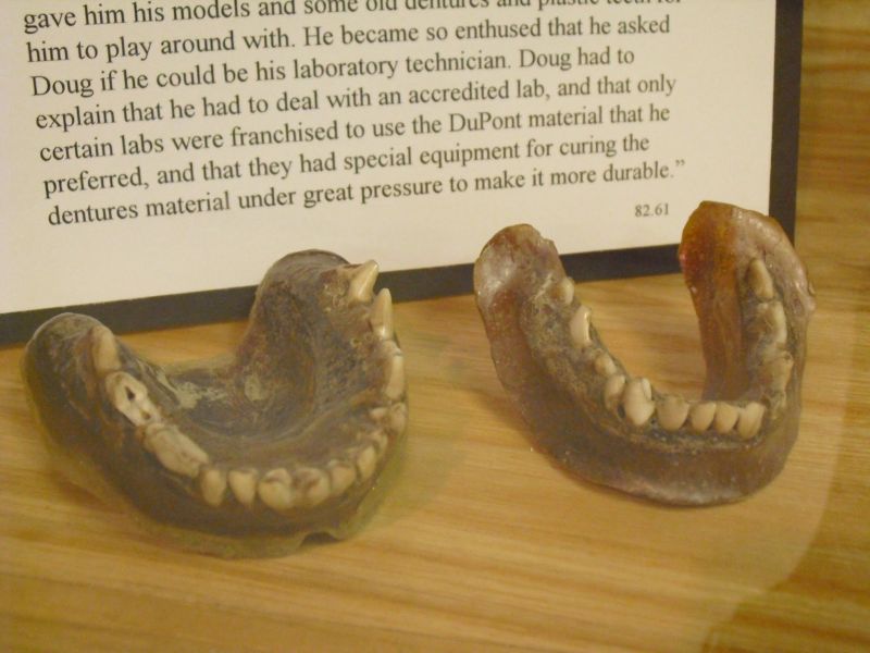 Зубные протезы из плавленной зубной щетки и клыков койота