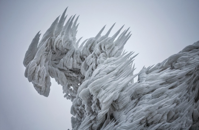 30 фото о том, что зима творит чудеса покруче фотошопа