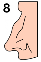 Форма носа может много рассказать о вашей личности