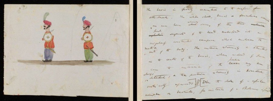 Происхождение видов Чарльза Дарвина и детские рисунки