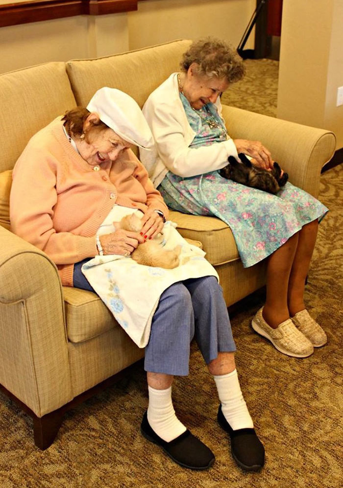 Дом престарелых, где заботятся о пожилых людях и о брошенных животных
