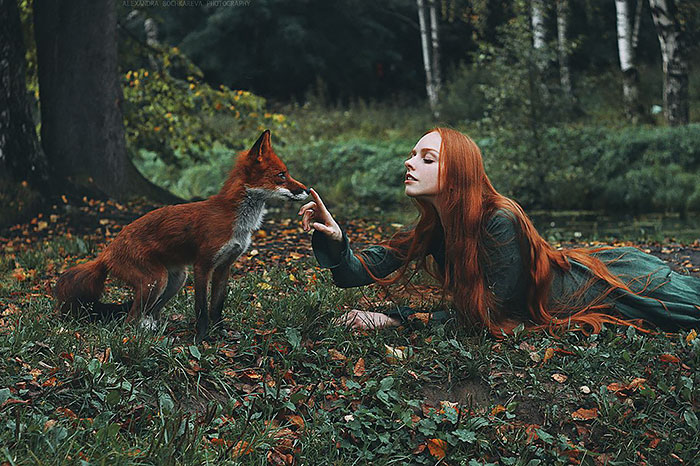 Прирученная рыжая краса в фотографиях Александры Бочкарёвой