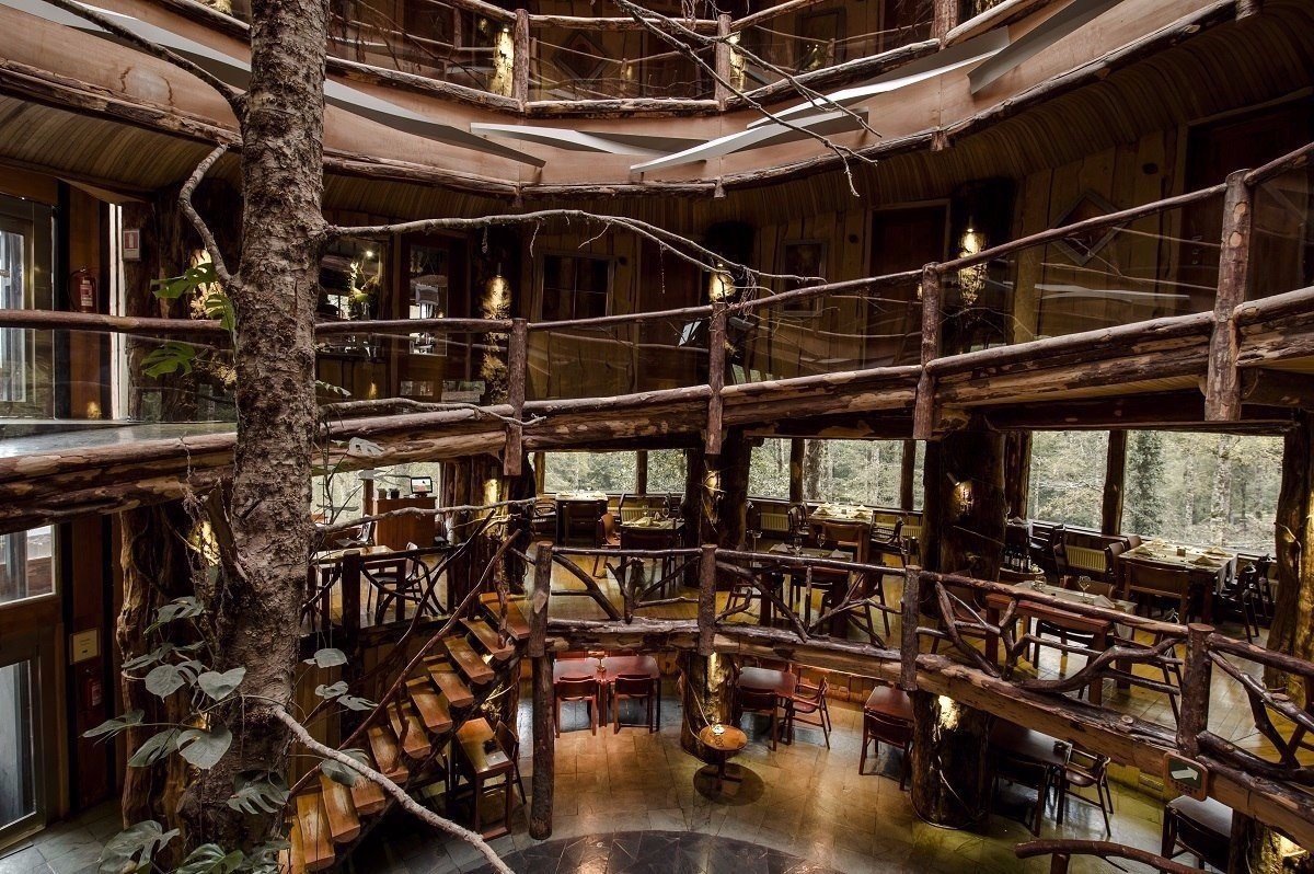 Атмосферная гостиница в лесах Патагонии не далеко от Чили