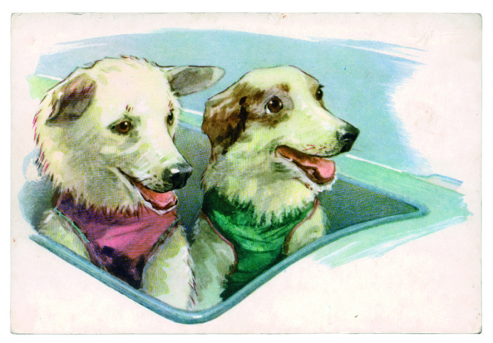 Белка и Стрелка - знаменитые советские собаки-космонавты