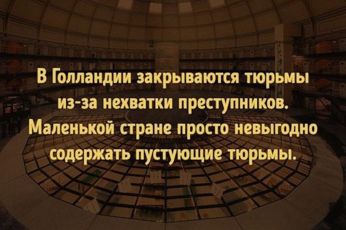 Интересные факты в картинках