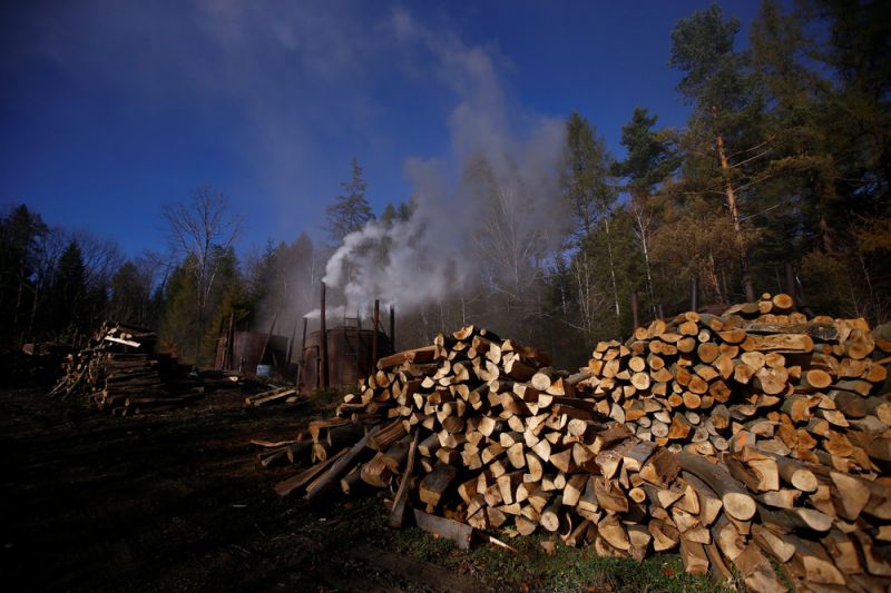 Как делают древесный уголь в горном лесу Польши