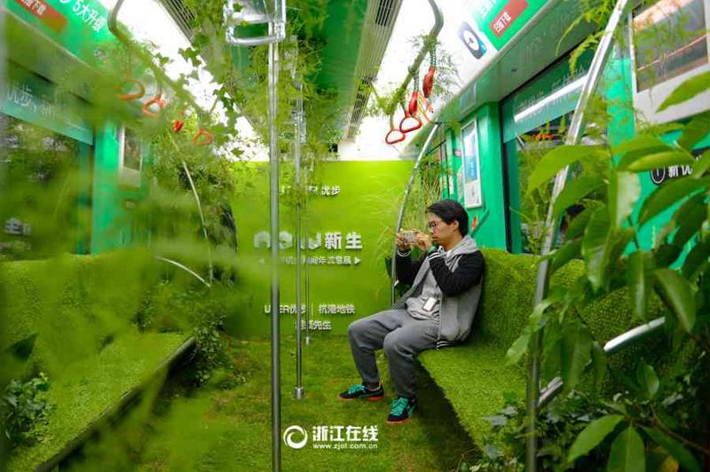 В Китае вагон метро превратили в зеленый лес