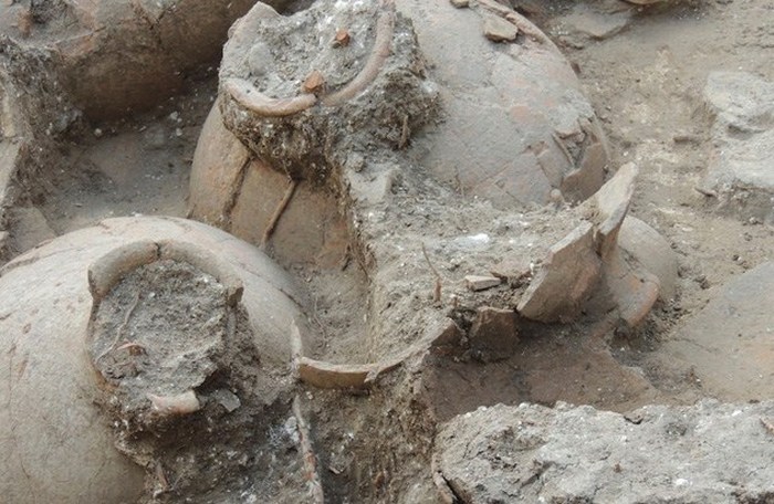 Алкогольные напитки древности, которые нашли современные археологи