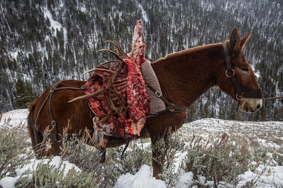 Лучшие фотографии 2016 года от National Geographic